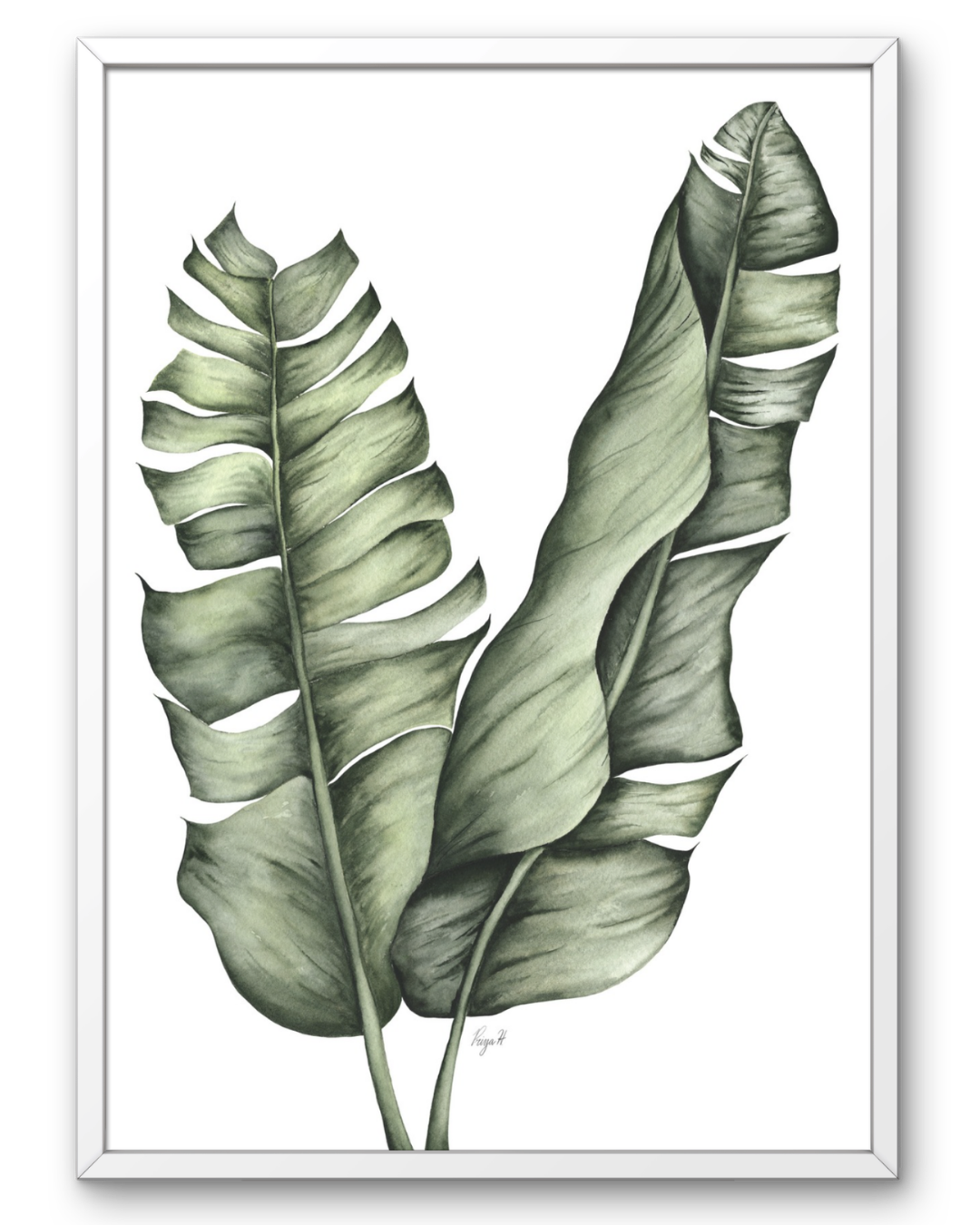 Priya Hazari: Banana Leaves
