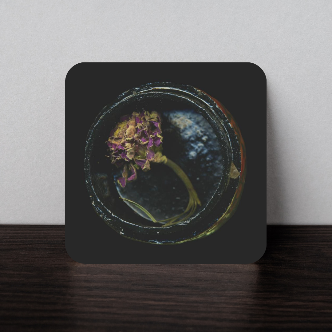 Coaster: Kayla DuBois