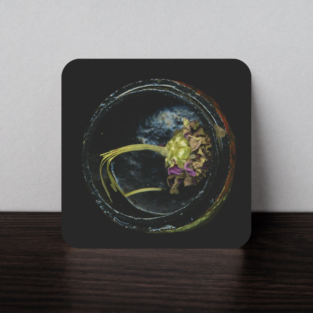 Coaster: Kayla DuBois