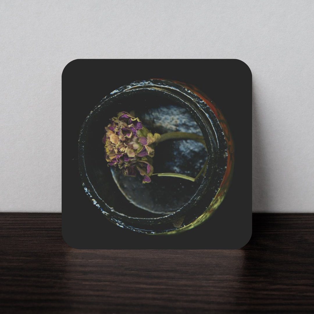 Coaster: Kayla DuBois
