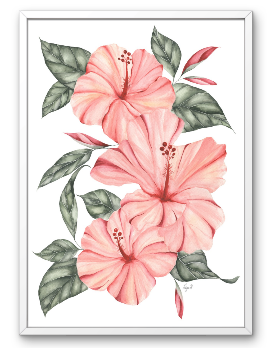 Priya Hazari: Hibiscus Dreams