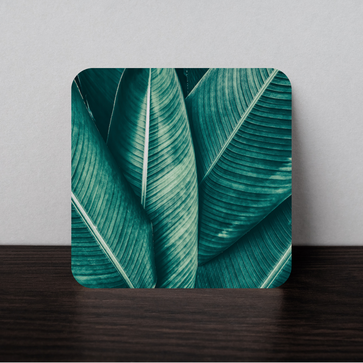 Coaster [Circle or Square]