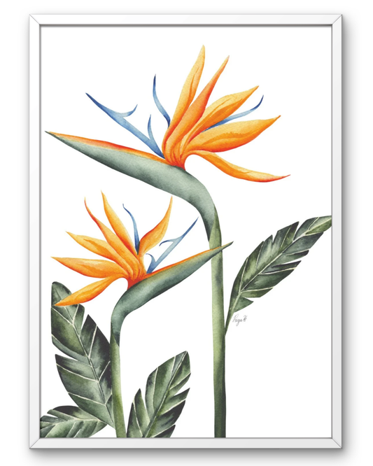 Priya Hazari: Bird of Paradise