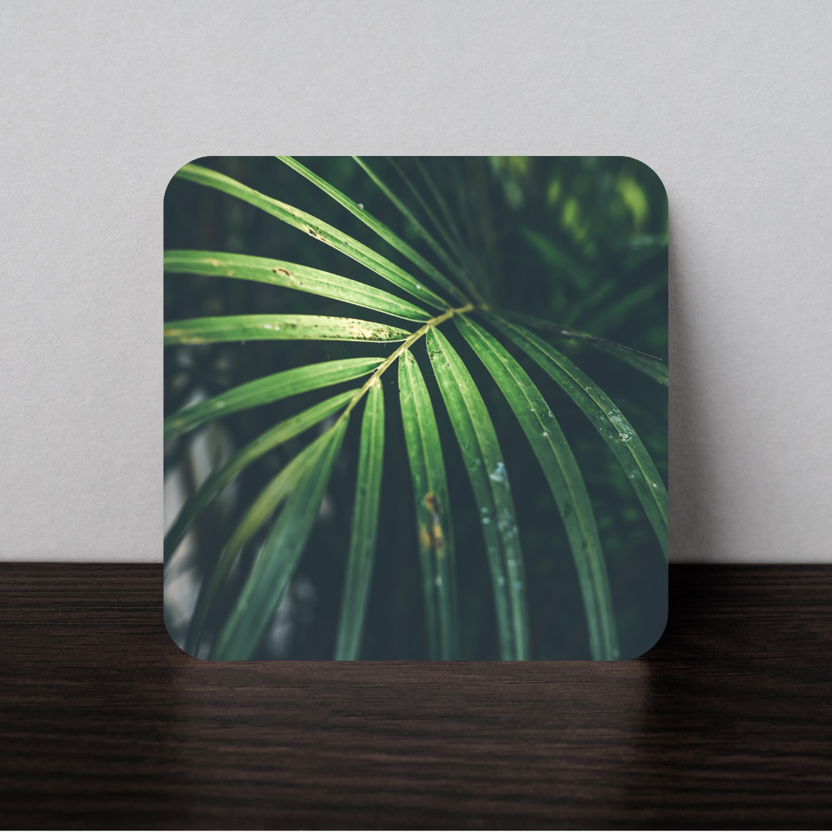 Coaster [Circle or Square]