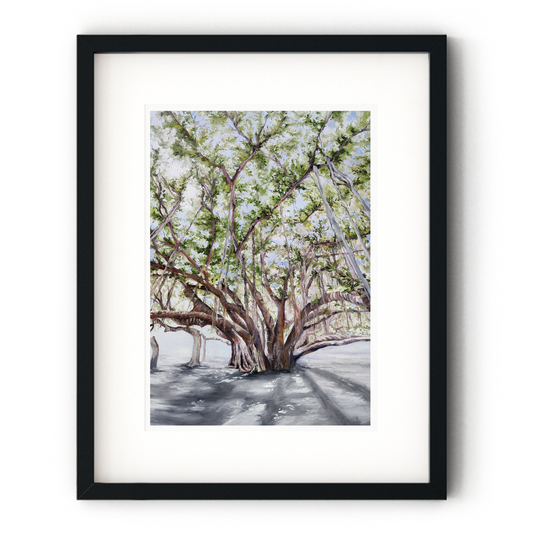 Painting & Drawing: Crystal DeRosier [Lahaina Banyan Tree]