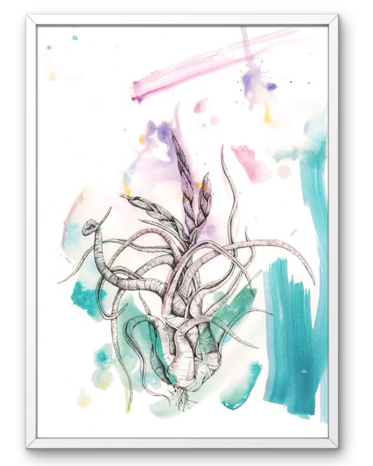 Morgan Snyder: Air Plant